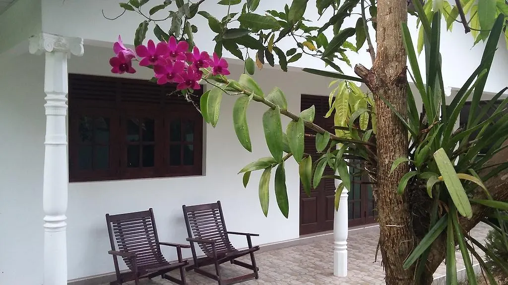** Guest house Travel Bird Villa - Foreign Bookings Only Katunayake Sri Lanka